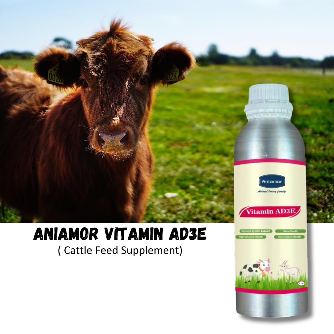Aniamor Vitamin AD3E Tonic for Cattle | Vitamin A, Vitamin D3, Vitamin E, Biotin, Vitamin C | 1 Litre | All life Stage