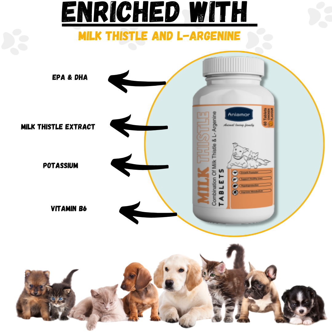 Milk Thistle Tablets for Pets| Liver Care Supplement| 60 Tablets