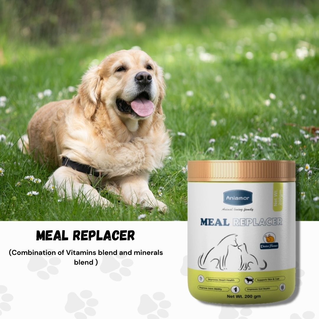 Meal Replacer Powder for Pets-Aniamor| Pet Supplement|200gm