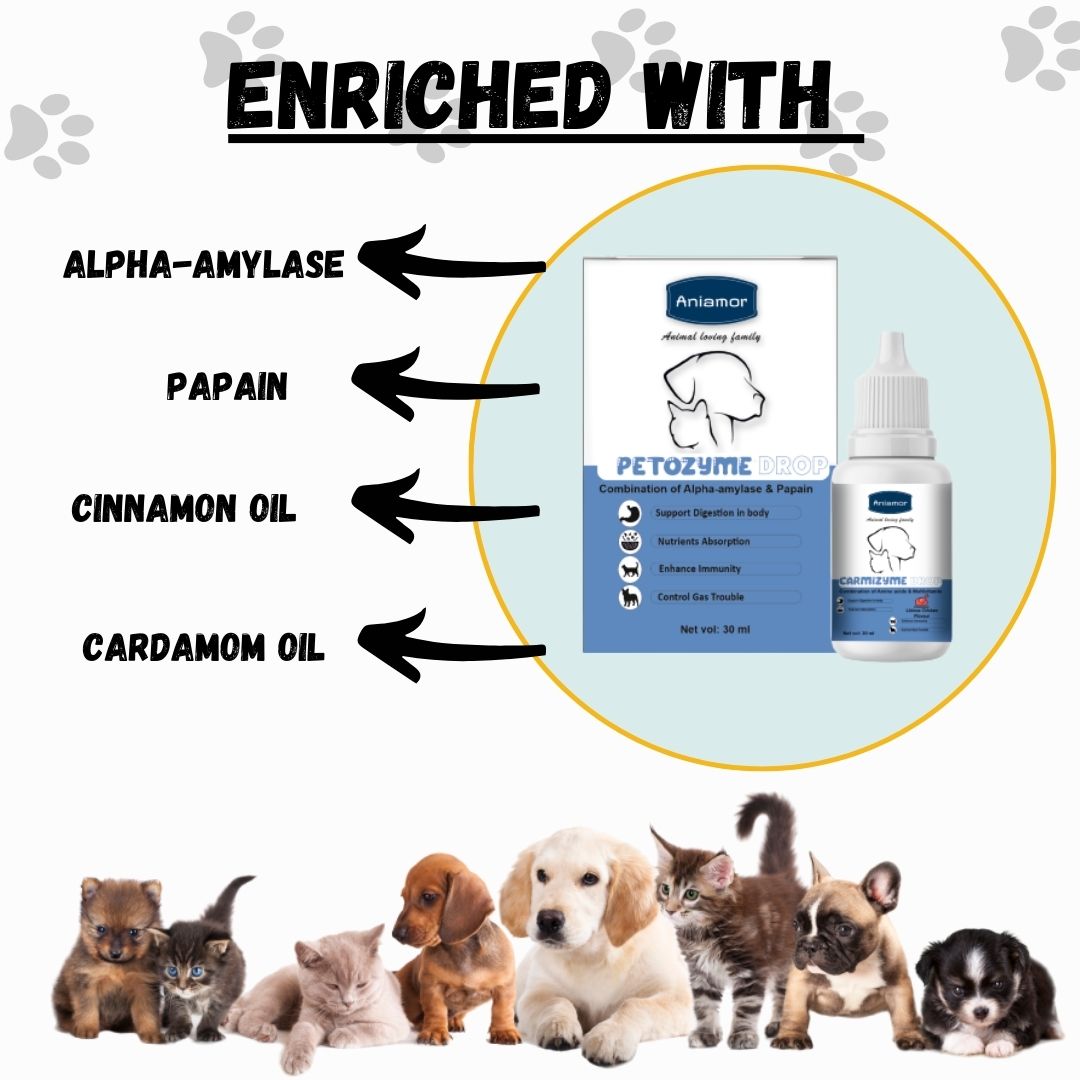 Petozyme Drop for Dog and Cat | Alpha-Amylase & Papain | 30ml