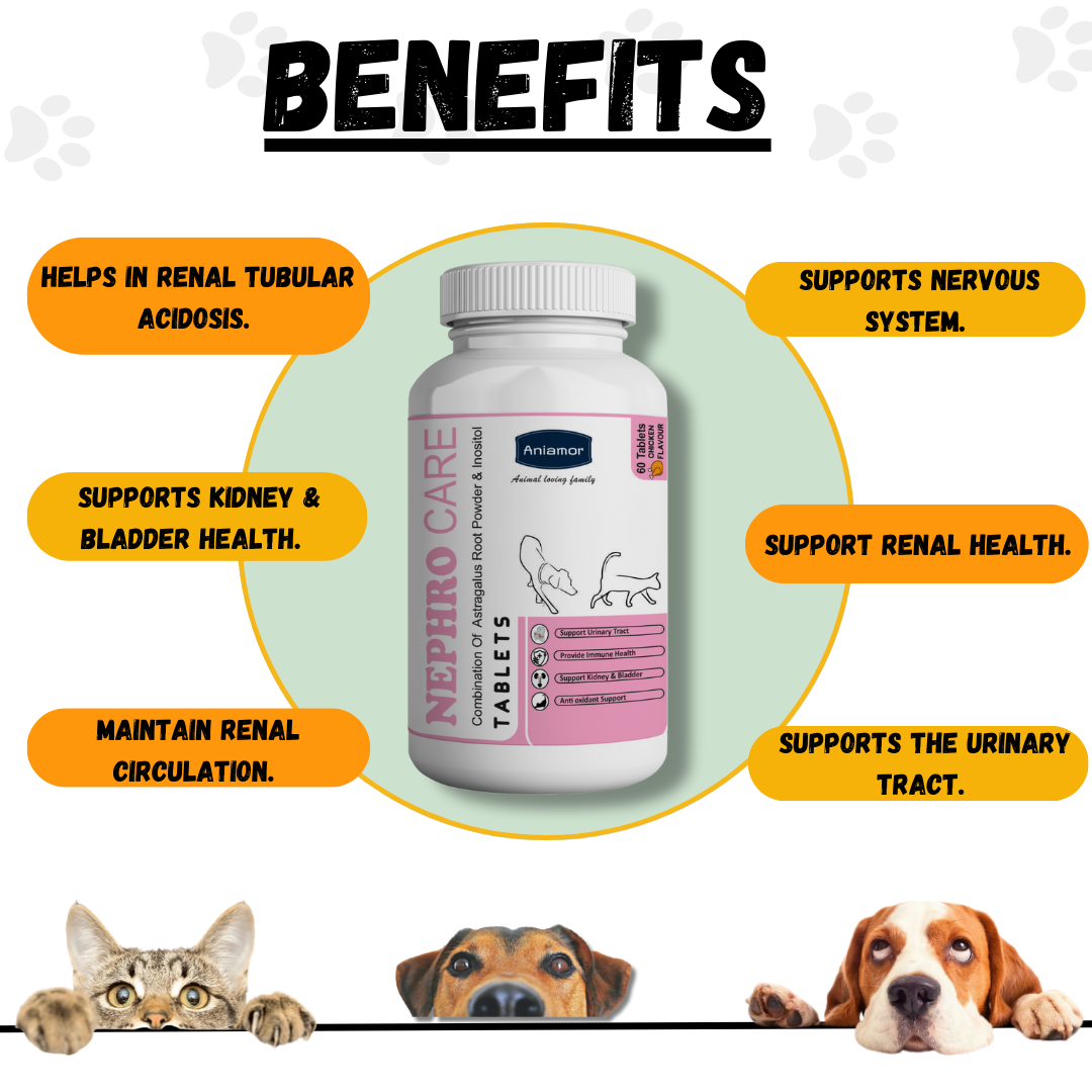 Nephro care tablets-Aniamor| Lecithin Tablets| 60 Tablets