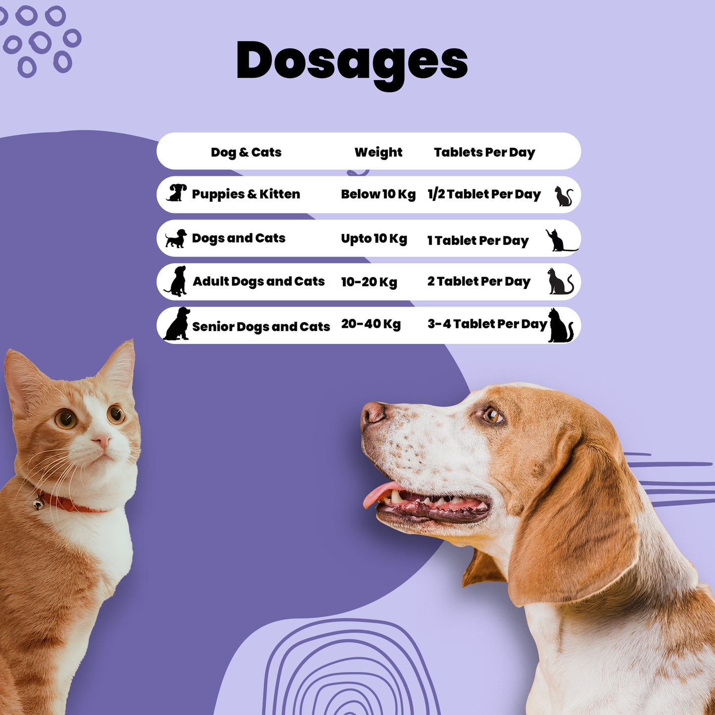 Kidney care tablets Aniamor dosage chart for pets