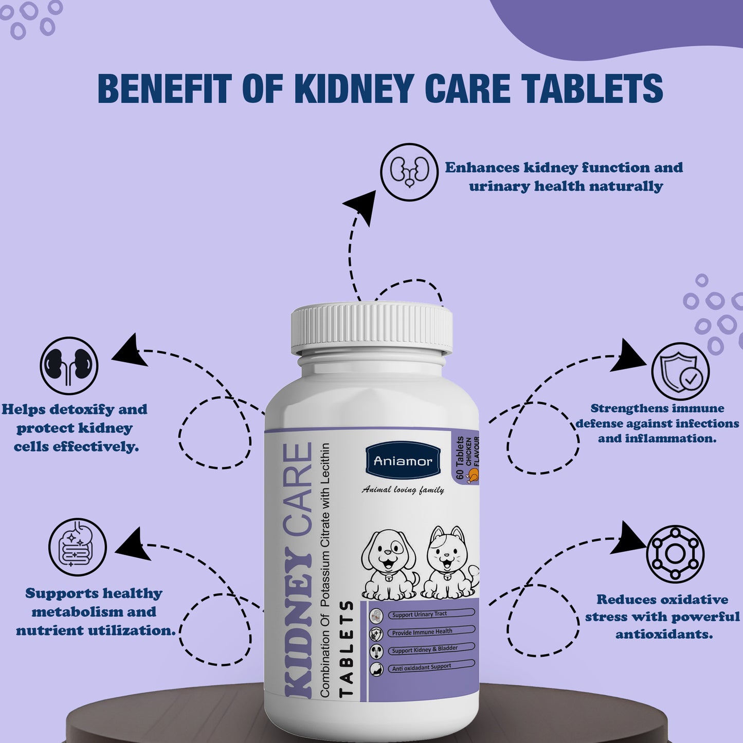 Kidney care tablets Aniamor Benefits