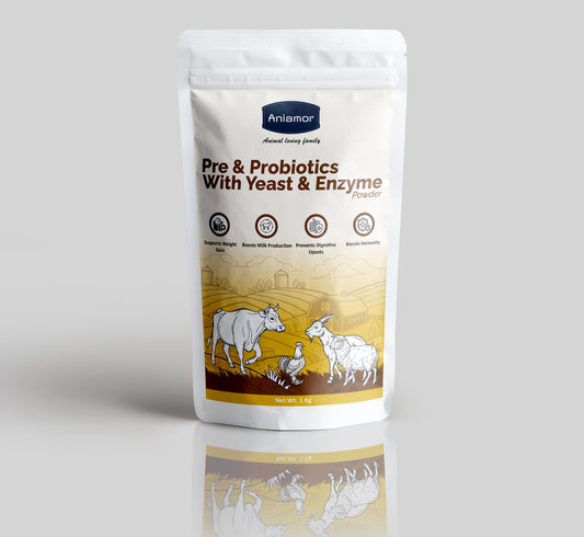 pre and probiotic feed supplement aniamor for cattle gut health 1 kg Pouch
