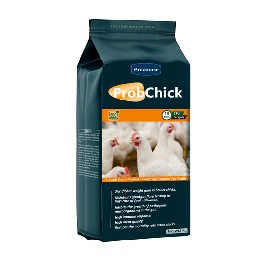 Probchick Powder-Aniamor| Per-Perobitotic Powder|1kg