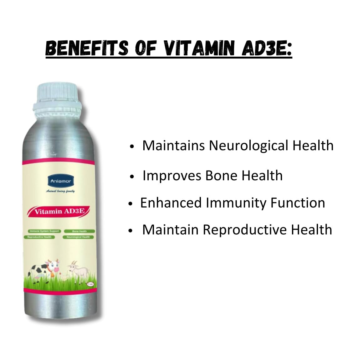 Aniamor Vitamin AD3E Tonic for Cattle | Vitamin A, Vitamin D3, Vitamin E, Biotin, Vitamin C | 1 Litre | All life Stage