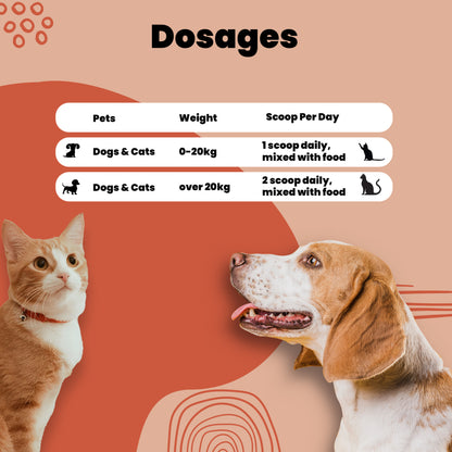 All 1 Topper powder Aniamor Dosage chart for pets