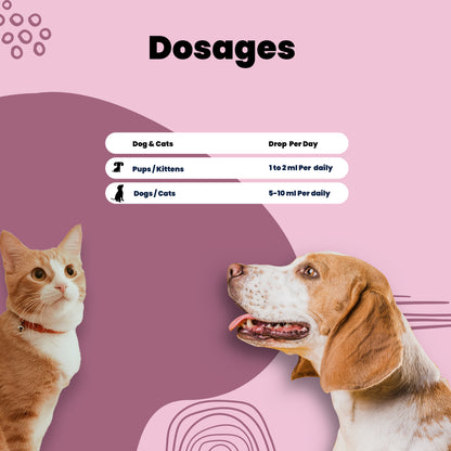 Amino pet drop Aniamor dosage charge for pets
