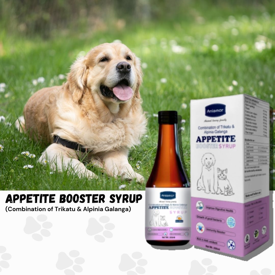 Appetite Booster Syrup for Pets-Aniamor| Herbal Blend Syrup| 200ml