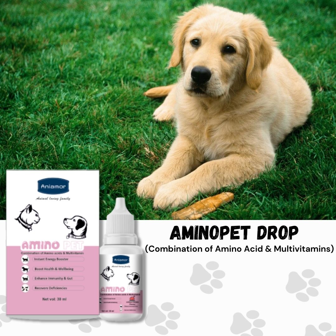 Aminopet Drops for Pets- Aniamor | Amino Acids and Multivitamin Drops | 30ml