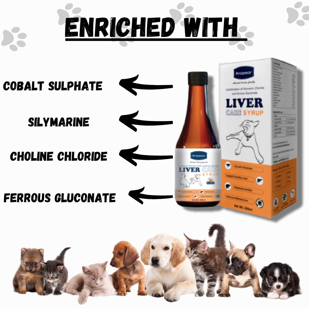 Liver Care syrup for Pets-Aniamor| Silymarin Syrup| 200ml