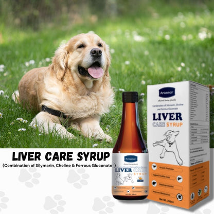 Liver Care syrup for Pets-Aniamor| Silymarin Syrup| 200ml