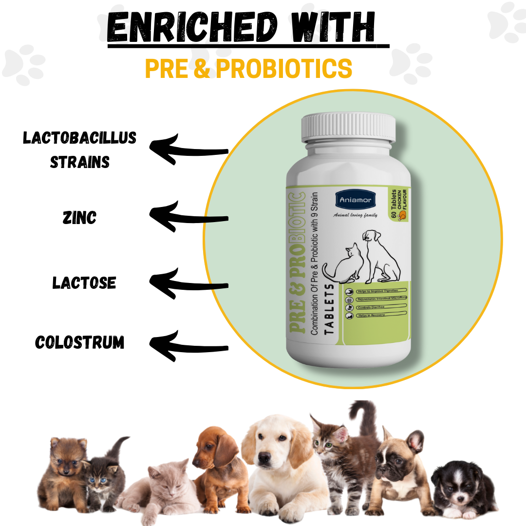 Pre-probiotic Tablets for Dog & Cat-Aniamor| 60Tablets