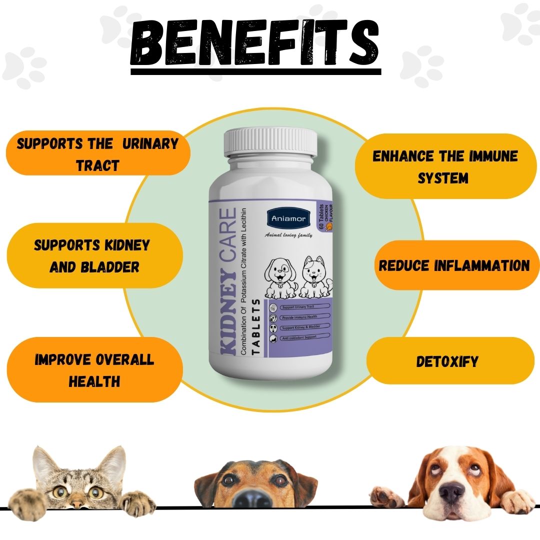 Kidney care tablet for Pets-Aniamor| Lecithin Tablets| 60 Tablets