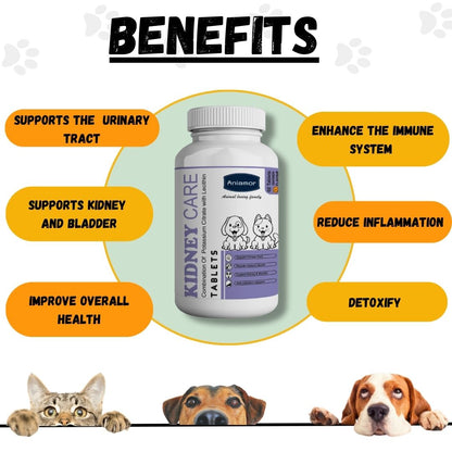 Kidney care tablet for Pets-Aniamor| Lecithin Tablets| 60 Tablets