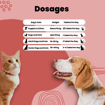 Petogut Tablet for Dogs & Cats | Enzyme complex, Probiotic blend, FOS, Inulin | Chicken Flavour | 60 Tablets | All Life Stages