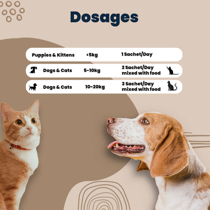 Electrolyte Powder Dosages For Pets
