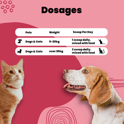Eye support powder Aniamor Dosage chart for pets