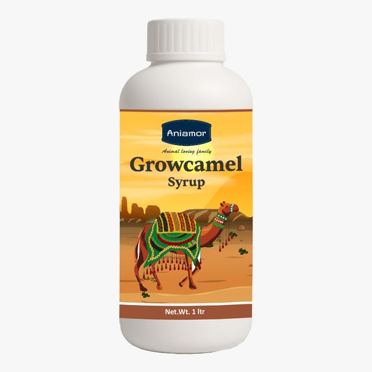 Aniamor Growcamel Syrup for Camel | L-Lysine, DL-Methionine, Biotin & Choline | Supports Growth, Metabolism & Overall Health | Camel Nutritional Supplement