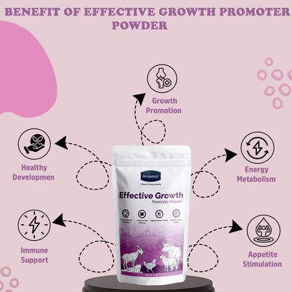 Aniamor Effective Growth Promoter | Cattle Feed Supplement | Increased Weight Gain | 1 Kg Pouch