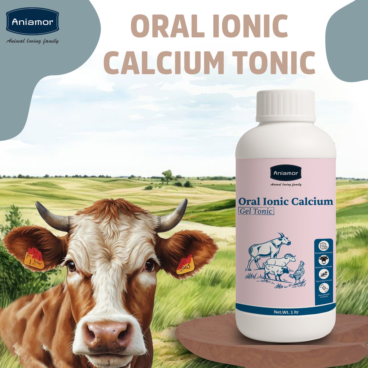 Aniamor Cattle Oral Ionic Calcium gel | Calcium, Trichosanthes, Vidarikanda, Safed musli, Shatavari, Ashwagandha, Pueraria mirifica, Vitamin B12 | 1 Litre