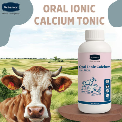 Aniamor Cattle Oral Ionic Calcium gel | Calcium, Trichosanthes, Vidarikanda, Safed musli, Shatavari, Ashwagandha, Pueraria mirifica, Vitamin B12 | 1 Litre