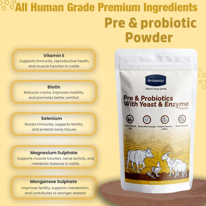 Cattle Pre & Probiotic Powder with Yeast & Enzymes | Support Gut Health, Enhance Digestion and Nutrient Absorption | Cattle Feed Supplement | 1 Kg Pouch