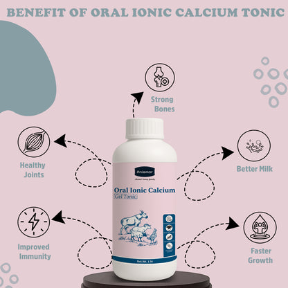 Aniamor Cattle Oral Ionic Calcium gel | Calcium, Trichosanthes, Vidarikanda, Safed musli, Shatavari, Ashwagandha, Pueraria mirifica, Vitamin B12 | 1 Litre