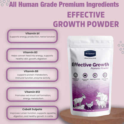 Aniamor Effective Growth Promoter | Cattle Feed Supplement | Increased Weight Gain | 1 Kg Pouch
