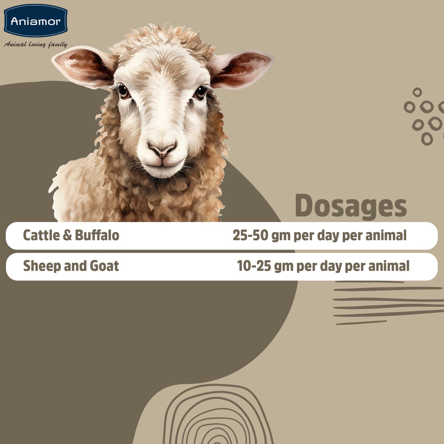 Mastitis Treatment Powder-Aniamor| Cattle Feed Supplements| 1kg