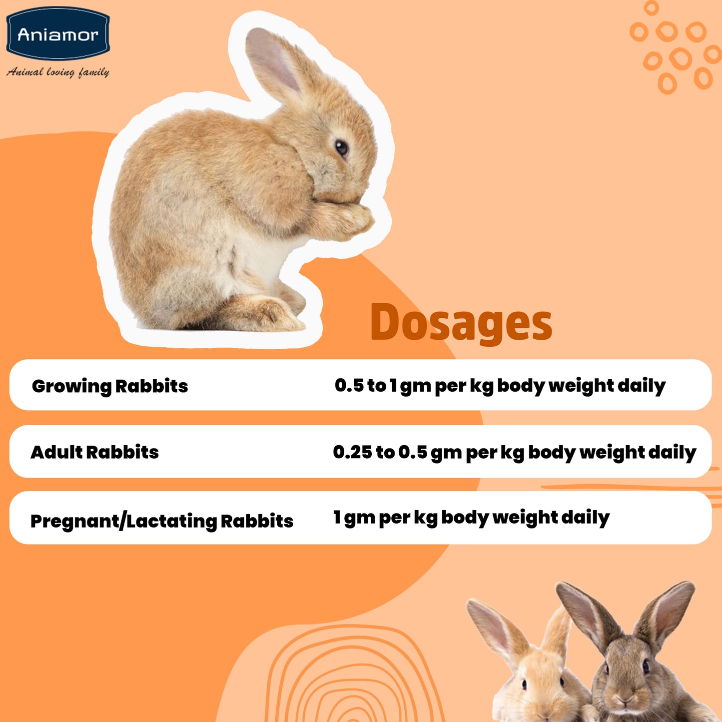 Bunny Overall Vital Powder | Calcium Phosphorus Vitamin A Vitamin D3 Vitamin E Vitamin C with Lactobacillus | 200 gm