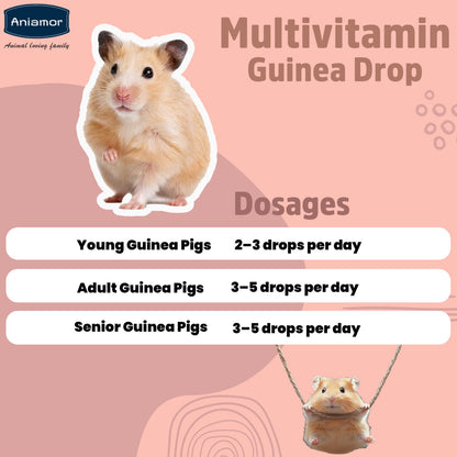 Guinea Pig Multivitamin Drops | Vitamin C, Vitamin A, Vitamin D3, Vitamin E, B-Complex & Zinc | 30 ml