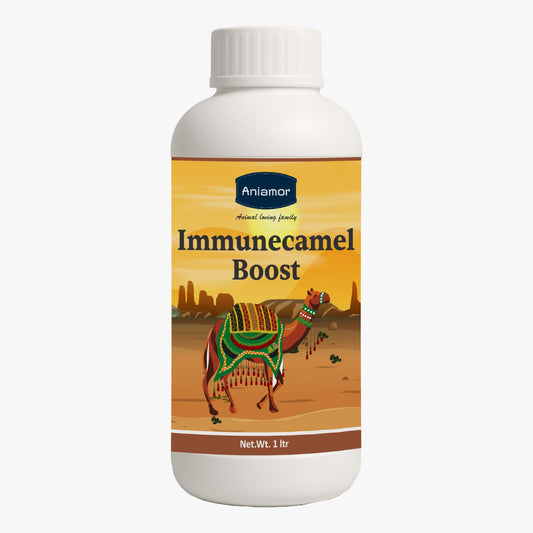 Aniamor Immunecamel Boost – Advanced Immune & Energy Support Supplement for Camels