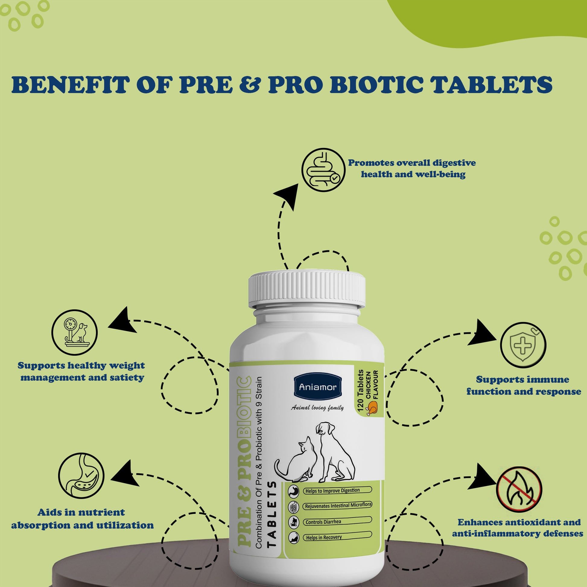 Pre probiotic tablets Aniamor tablets Benefits