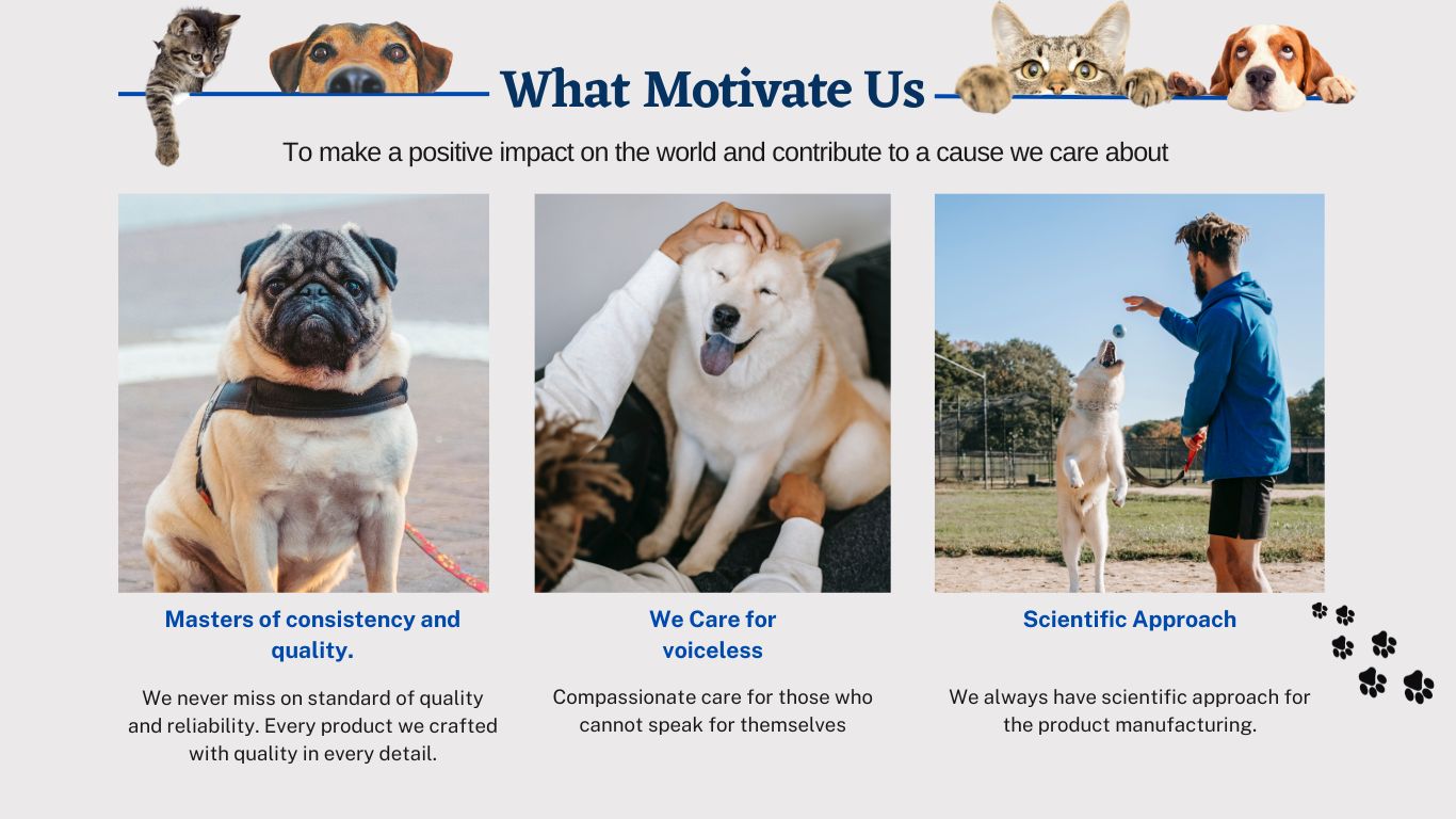 Aniamor-Leading Manufacturer and distributor of Animal Nutrition Products