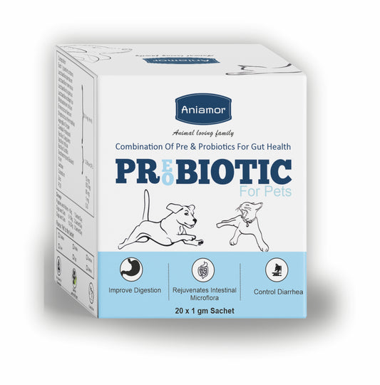 Pre And Pro-biotic Sachet-Aniamor| Lactobacillus And Streptococcus Strains| 20x1g